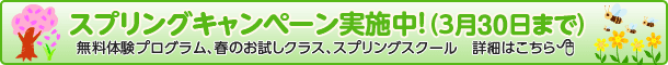 スプリングキャンペーン実施中！（3月30日まで）